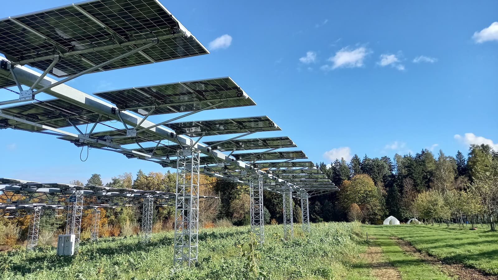 Veröffentlichung des neuen Praxisleitfaden "Agri-PV"